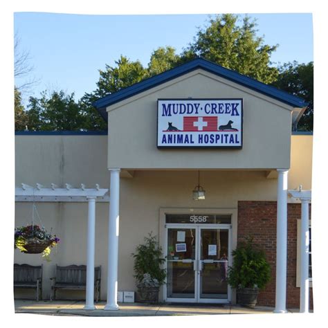 Muddy creek animal hospital - Read what people in West River are saying about their experience with Muddy Creek Animal Hospital at 5558 Muddy Creek Rd - hours, phone number, address and map. 
